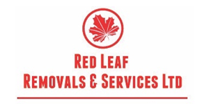 Red Leaf